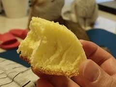 -达爱动物医院·犬猫分区·CT·复杂眼科(远洋山水分院)