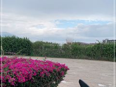 -后海村