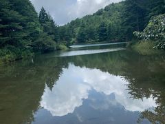 -四明山国家森林公园