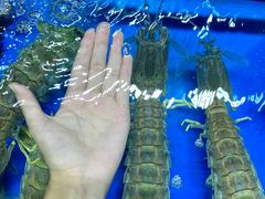 -黄沙水产交易市场