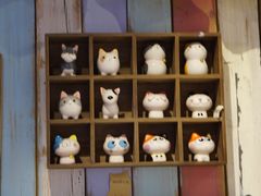 -小时光咖啡馆(开森度假森林店)