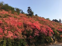 -木兰云雾山