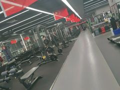 -金吉鸟健身游泳