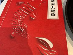 -阿五黄河大鲤鱼(英协路店)