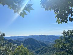 -大岭沟猕猴桃谷风景区