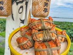 -七的湖·晚芳亭·阳澄湖农家菜·大闸蟹(莲花岛店)
