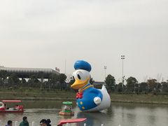 -菊园百果园