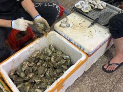 -蚝哥花姐湛江烤生蚝(美丽湾市场店)