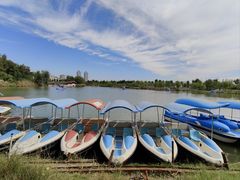 -商丘市人民公园