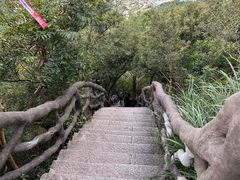 -梧桐山风景名胜区