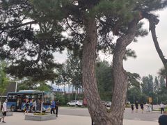 -清西陵
