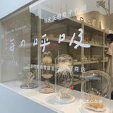 白色蒲公英的约定