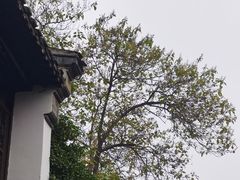 -个园