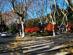 -北山街历史文化街区