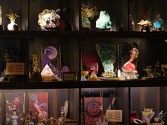-雪灵魔法世界SHELLY’S TAROT(大良桂畔里店)