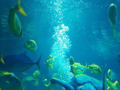 -石家庄海洋公园