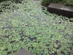 -白塘生态植物园