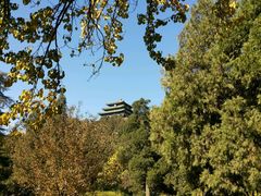 android_upload_pic-景山公园