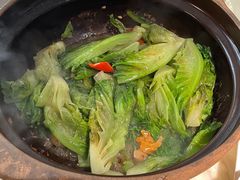 啫啫生菜煲-陶陶居酒家(SM二期购物广场店)
