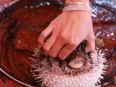 -蓝湾碧波·老字号·疍家非遗海上餐厅