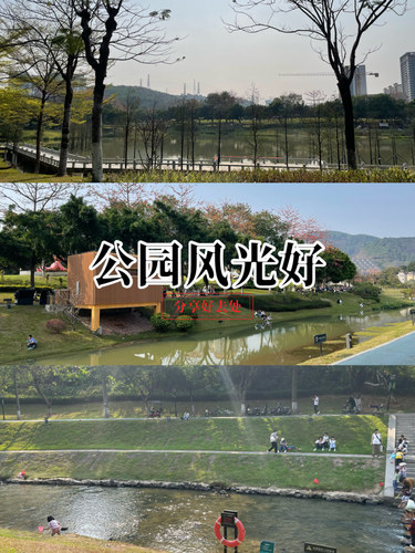 公园悠闲行