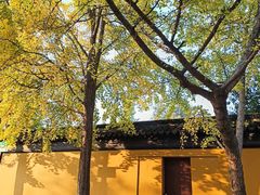 -西园戒幢律寺