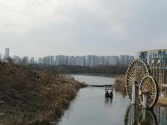 -洋湖国家湿地公园