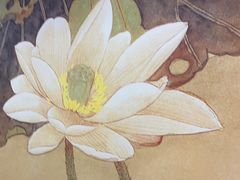 -丰泽园饭店(亚运村店)