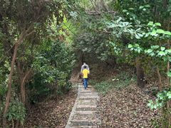 -平湖九龙山旅游度假区
