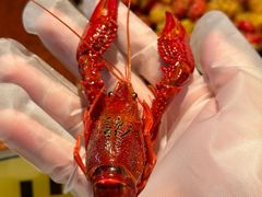 -长沙文和友(海信广场店)