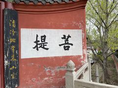 -洛阳白马寺