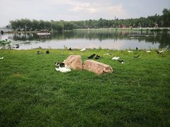 -长春市南湖公园