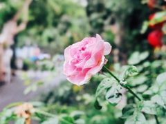 -院子餐厅·大锅菜·老杭帮(桥西直街店)
