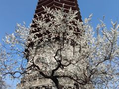 -玲珑塔公园