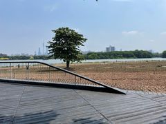 -海珠湖公园