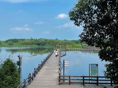 -溱湖国家湿地公园