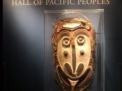 -美国自然历史博物馆