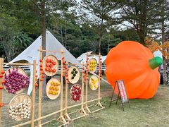 -云栖山谷野奢营地