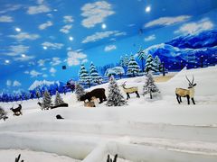 -世界之窗阿尔卑斯冰雪世界