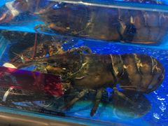 -兄弟爬爬虾(北京路店)