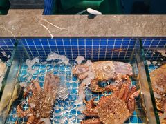 -虾佬圣汤·海鲜姿造(乐堤港店)
