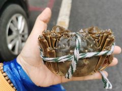 -青石桥市场北1-27号