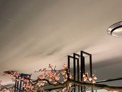 -老板恋上鱼(环山路店)