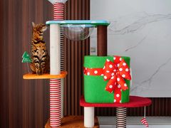 -德元·美联众合24小时动物医院(总院)