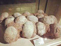 -甘肃地质博物馆