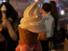 -富豪雪糕车流动点(尖沙咀店)