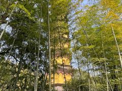 -阿育王寺
