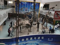 -中国地质大学逸夫博物馆