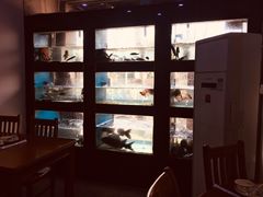 -全乐鱼馆·淳牌有机鱼直营店