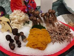 -尚海豆捞(乐虹坊店)